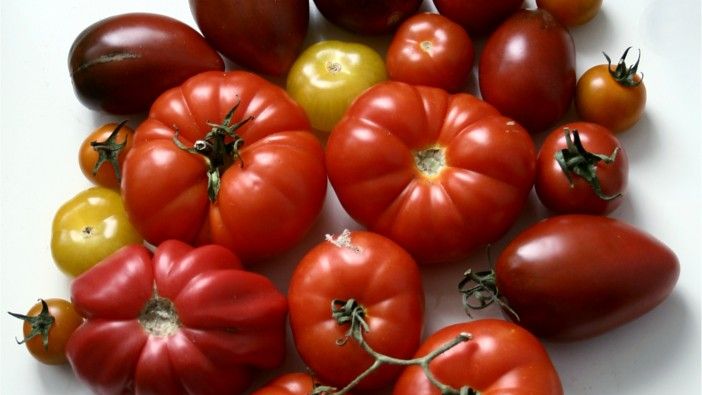 Unexpected Heirloom Fruits That Are Reclaiming Their Spots on the Table