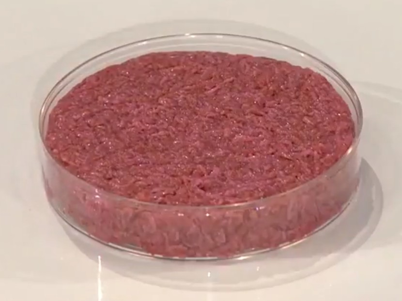 GFI buys cultivated meat firm’s assets for public use