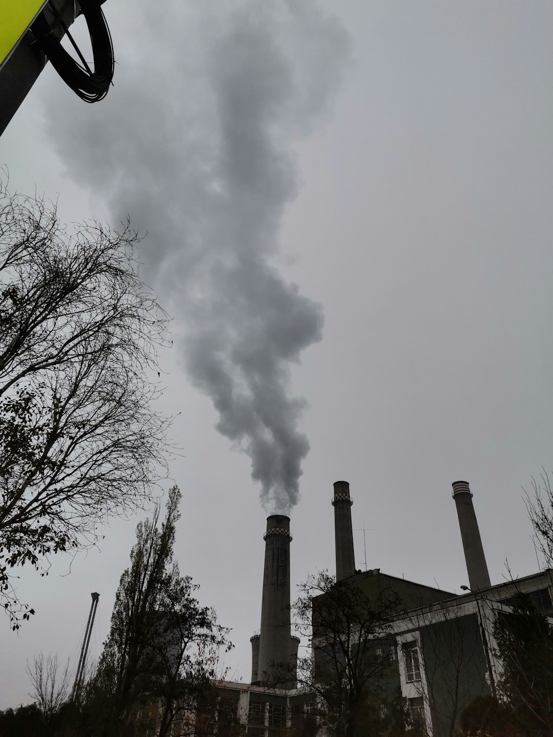 Mighty Earth sues JBS’s US unit alleging emissions greenwashing