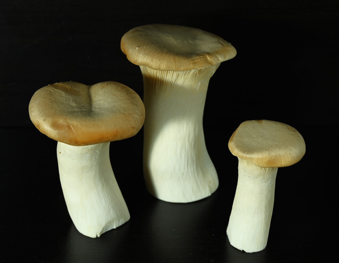 Functional Fungi Fuel Next Wave of Food Innovation