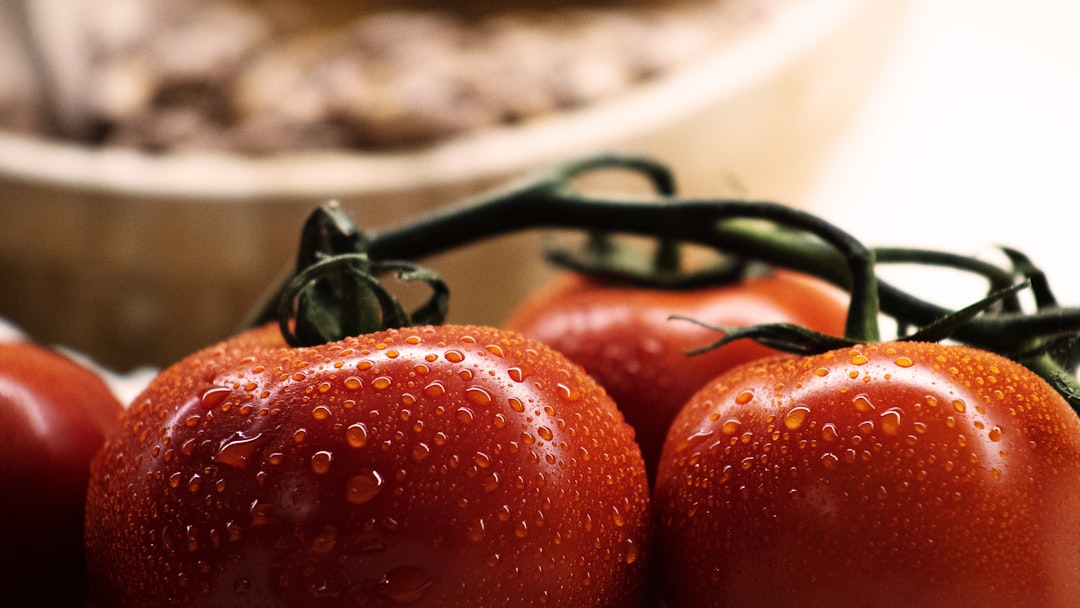 ANICAV Showcases Italian Tomato Preserves at Hospitality Qatar