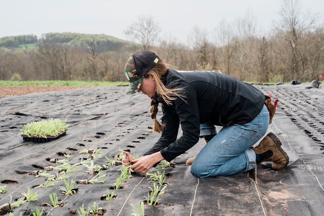 Kellanova, Walmart expand regenerative ag in Arkansas