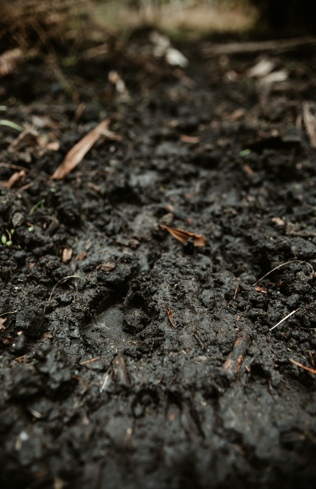 Why food companies should invest in soil-carbon monitoring