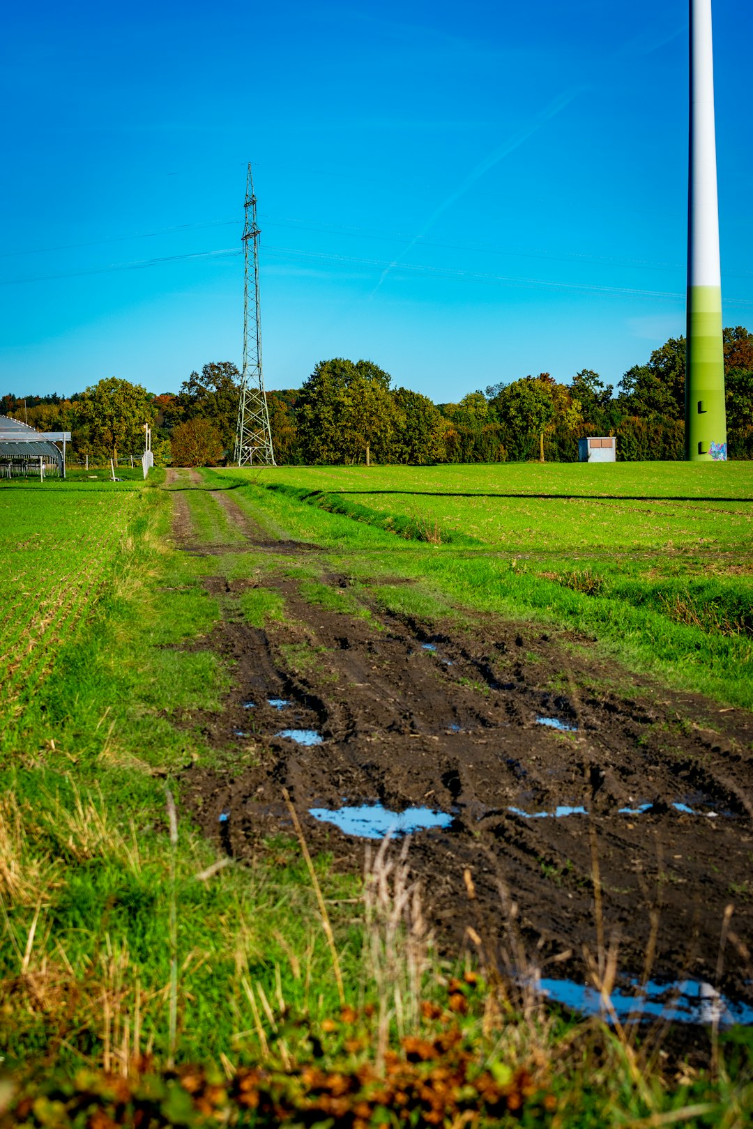 Why food companies should invest in soil-carbon monitoring