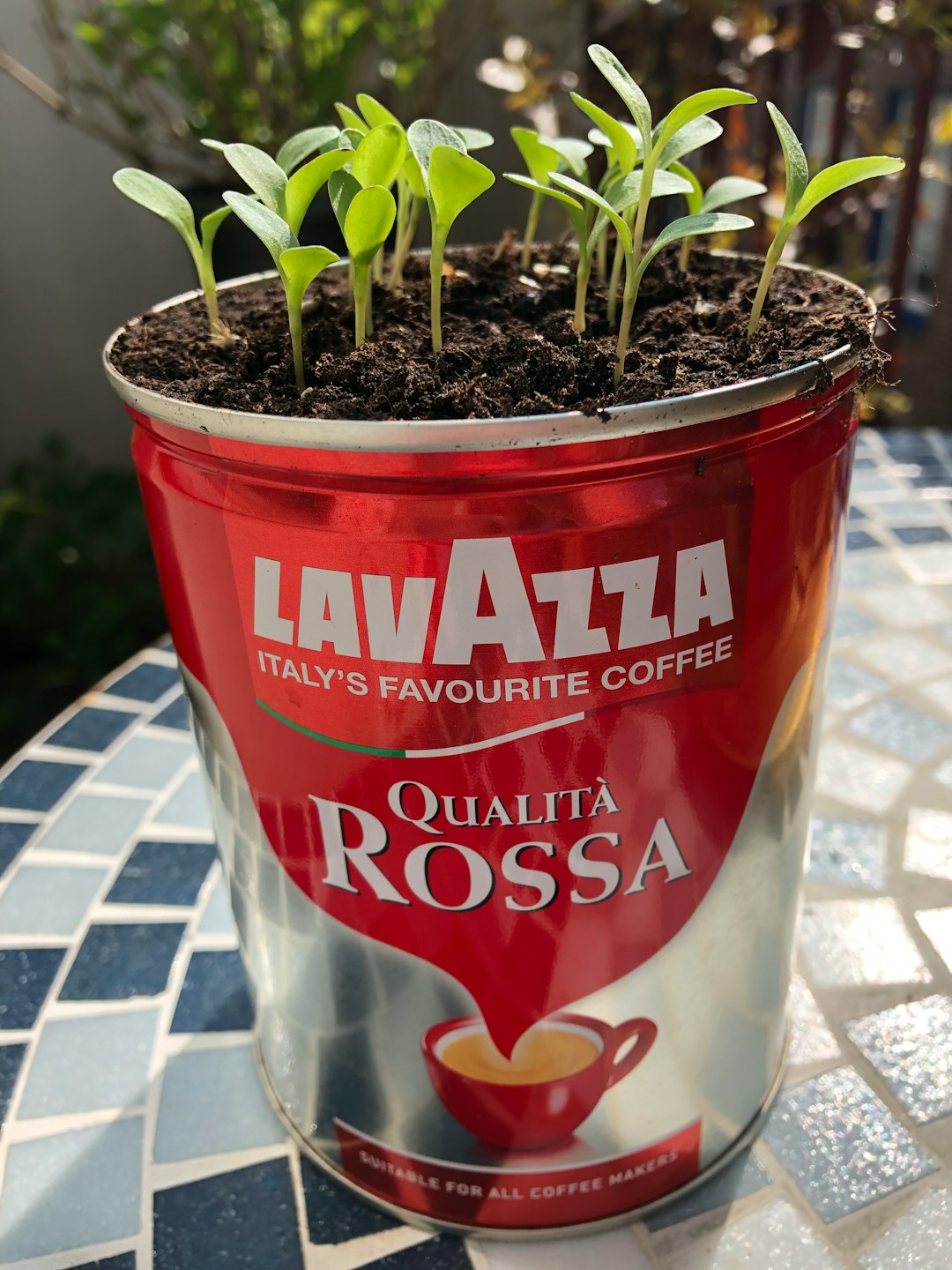 Lavazza Wins Best European Commercial Coffee Roaster 2025 Edition