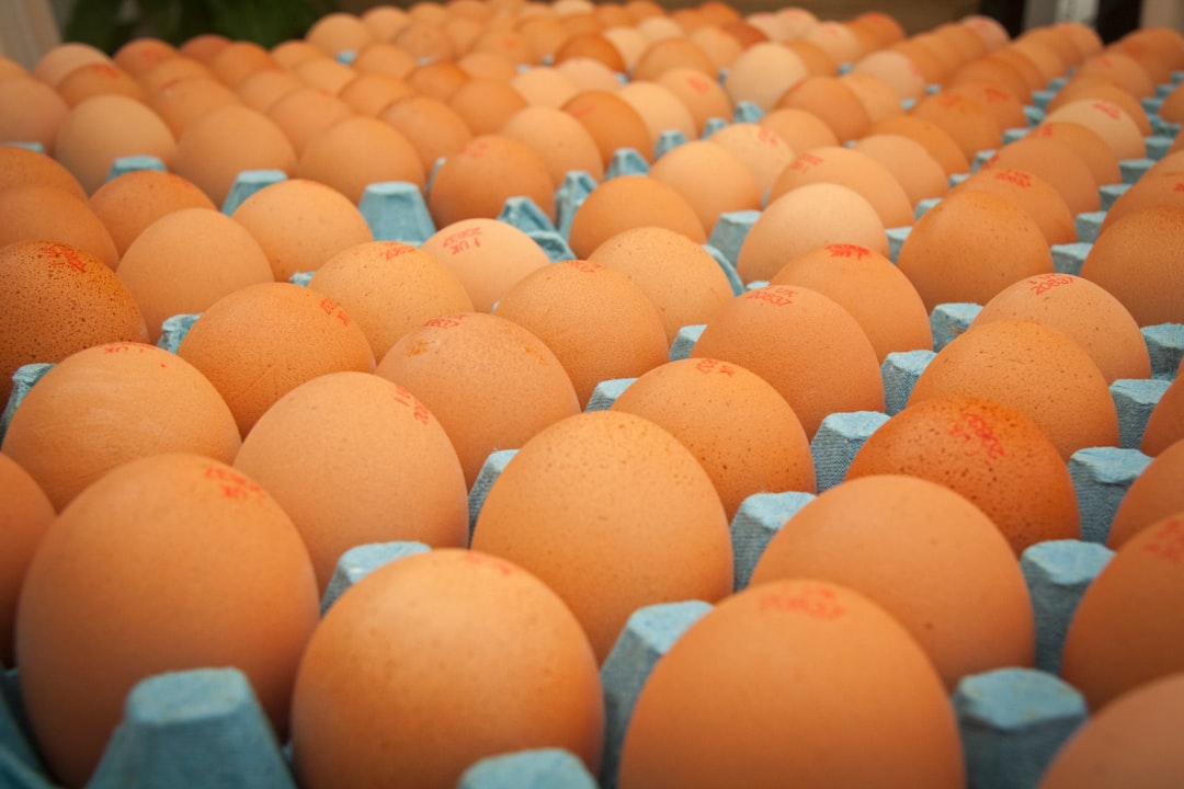 FDA warns Puerto Rico company about problems at egg producing facility