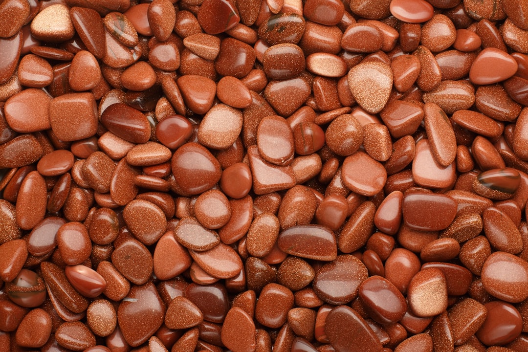 Nestle, research partners map cocoa diversity