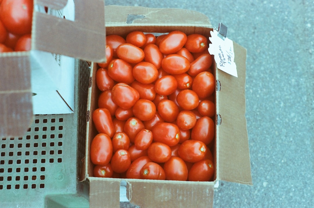 Italy’s Processed Tomato Sector Faces Tests as Costs Rise and Rivals Advance