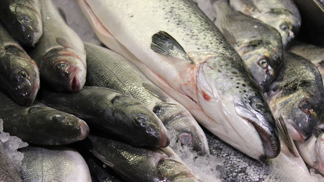 Sushi Grade? The Truth About What "Fresh" Fish Really Means at Your Grocery Store