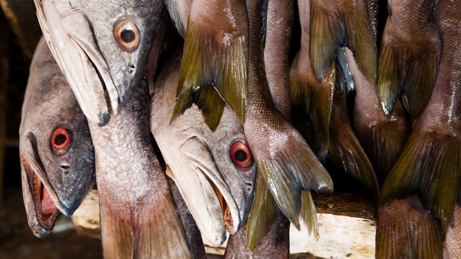 Why You Should Never Order Fish Specials On A Monday