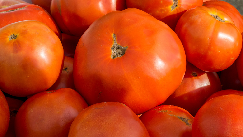 Why Food Scientists Strongly Advise Keeping Tomatoes Out of the Refrigerator