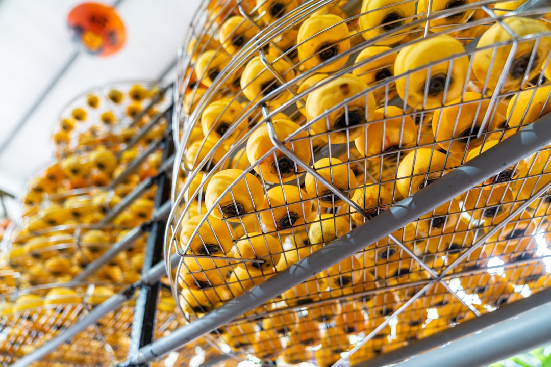 From Pilot to Payoff: What We Learned About Food Manufacturing Tech in 2025