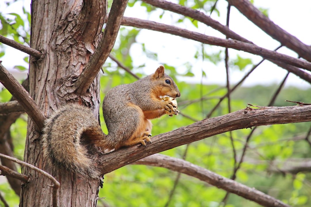 Study Links Tree Nut Snacks to Fewer Cravings, Better Diet Quality