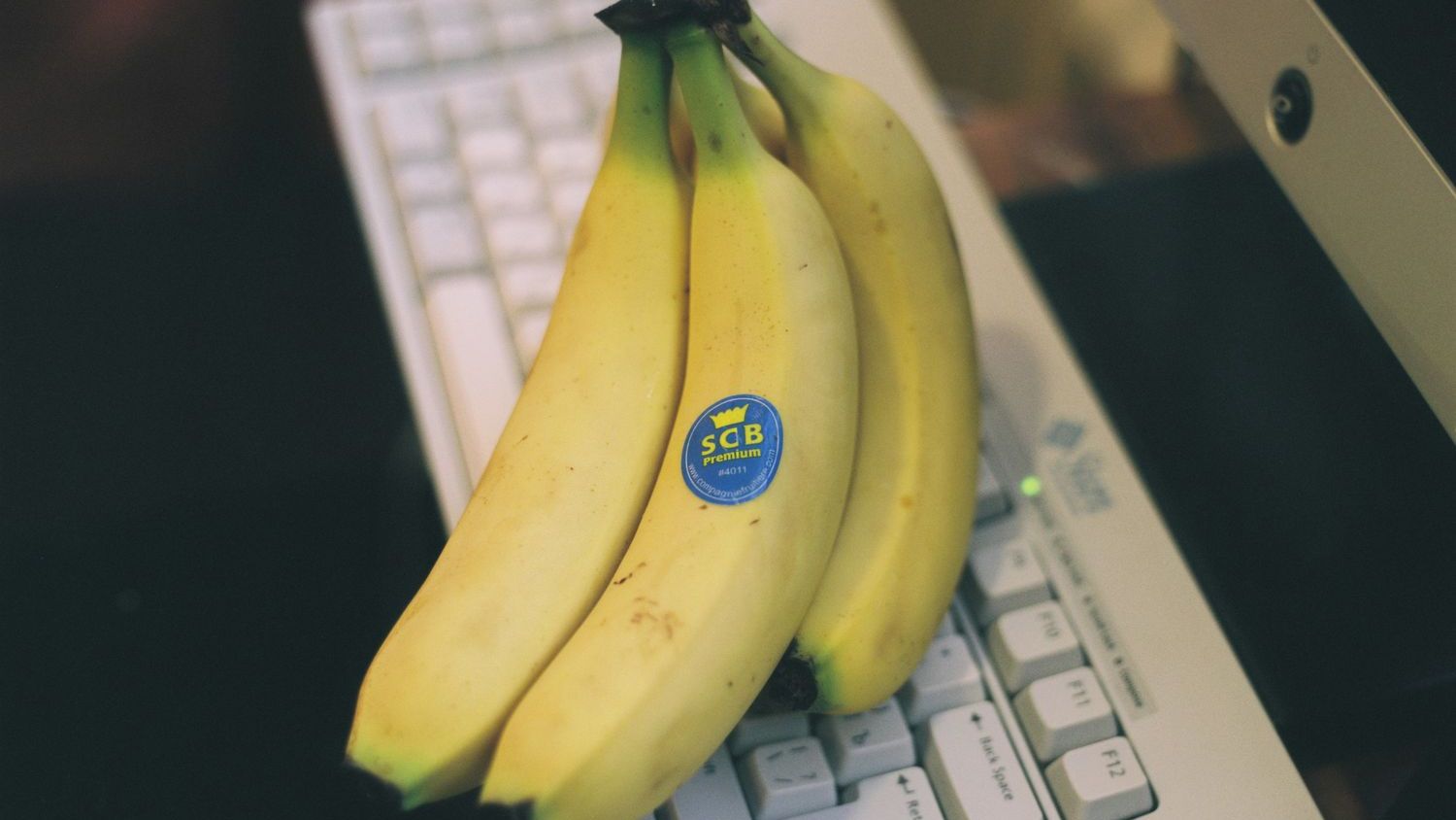 The Hidden Code on Fruit Stickers: What Those Numbers Actually Tell You