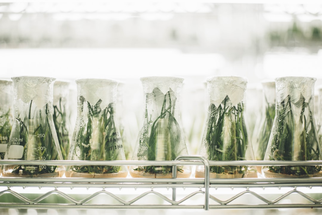 TikTok Is the New Food R&D Lab – And It’s Moving Lightning Fast
