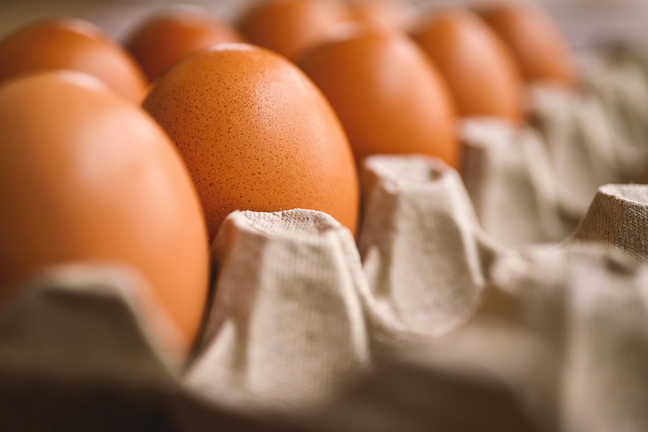 Egg sheets recalled because of concerns about Salmonella