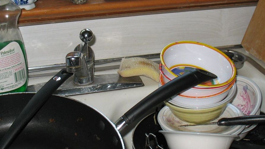 Your Dishwasher Myth: Why Your Plates Aren't Actually Clean