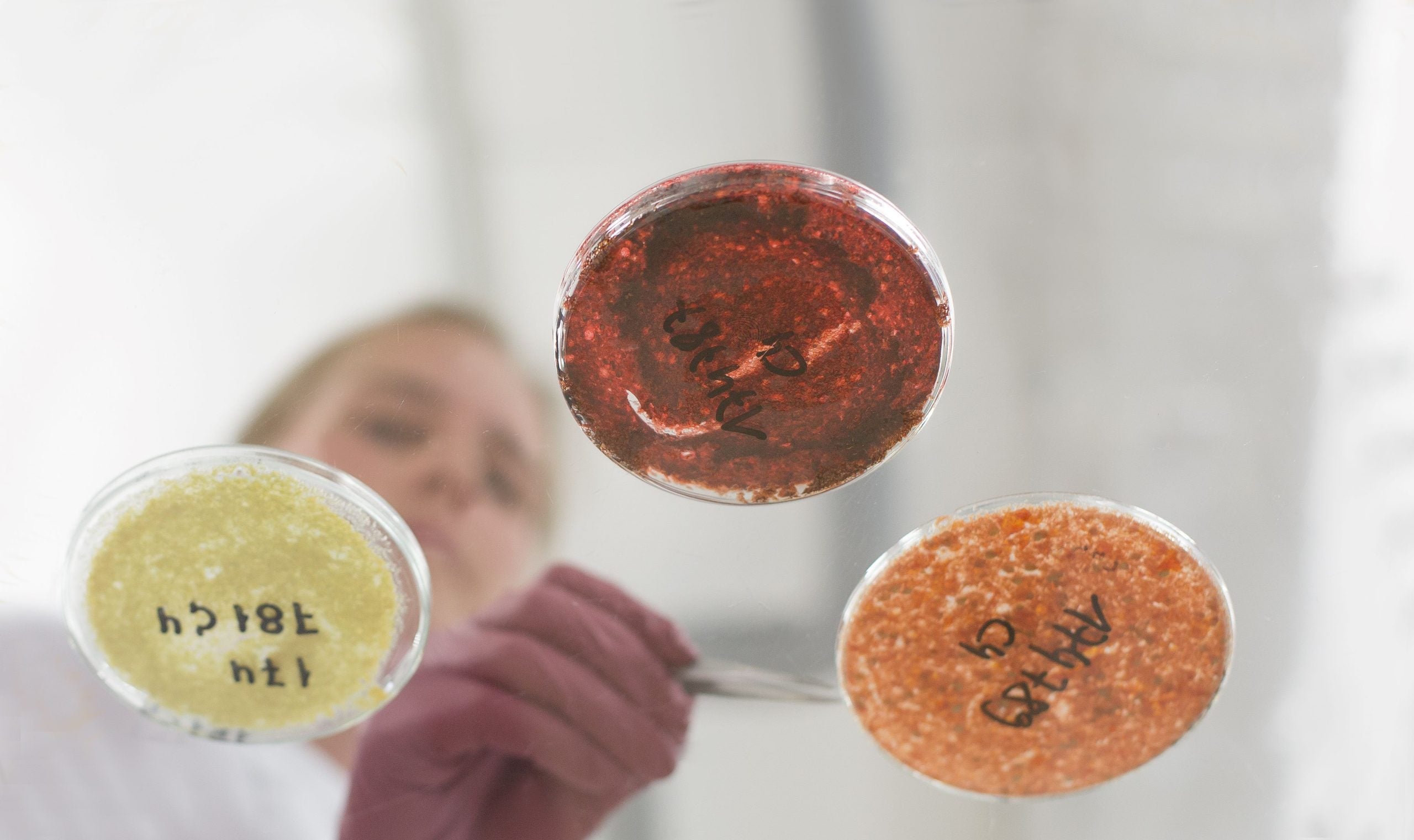 Just Food Excellence Awards 2025: Oritain