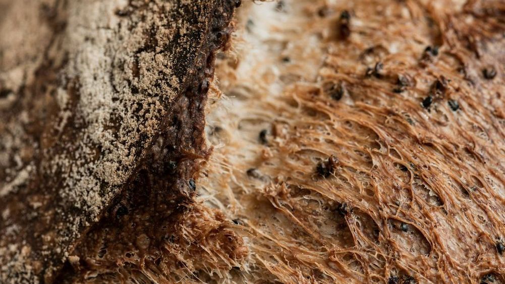 8 Signs a Bakery Is Secretly High-End, Even If the Prices Look Low