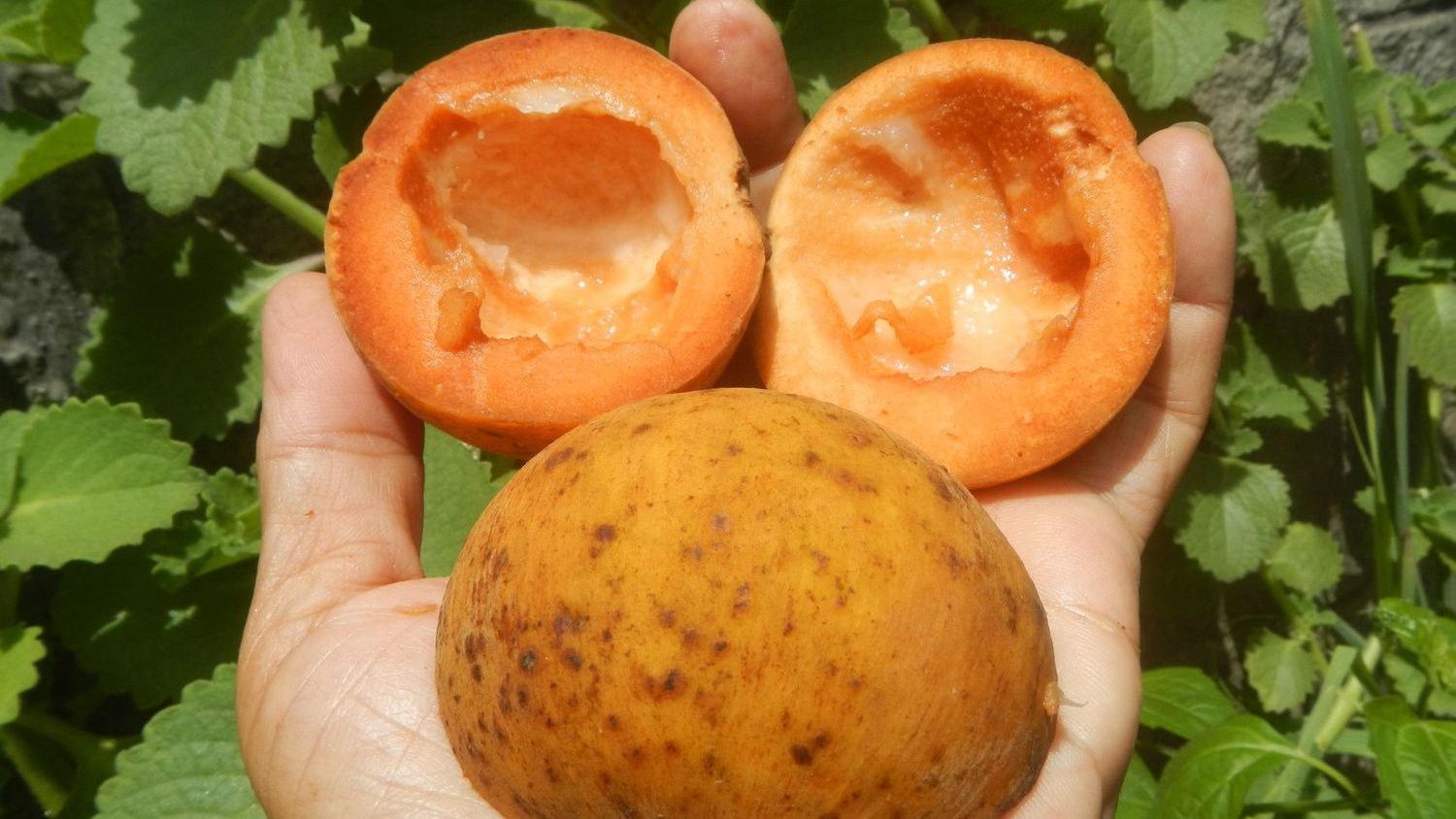 12 Kitchen Scraps Professional Bakers Never Toss (And Neither Should You)