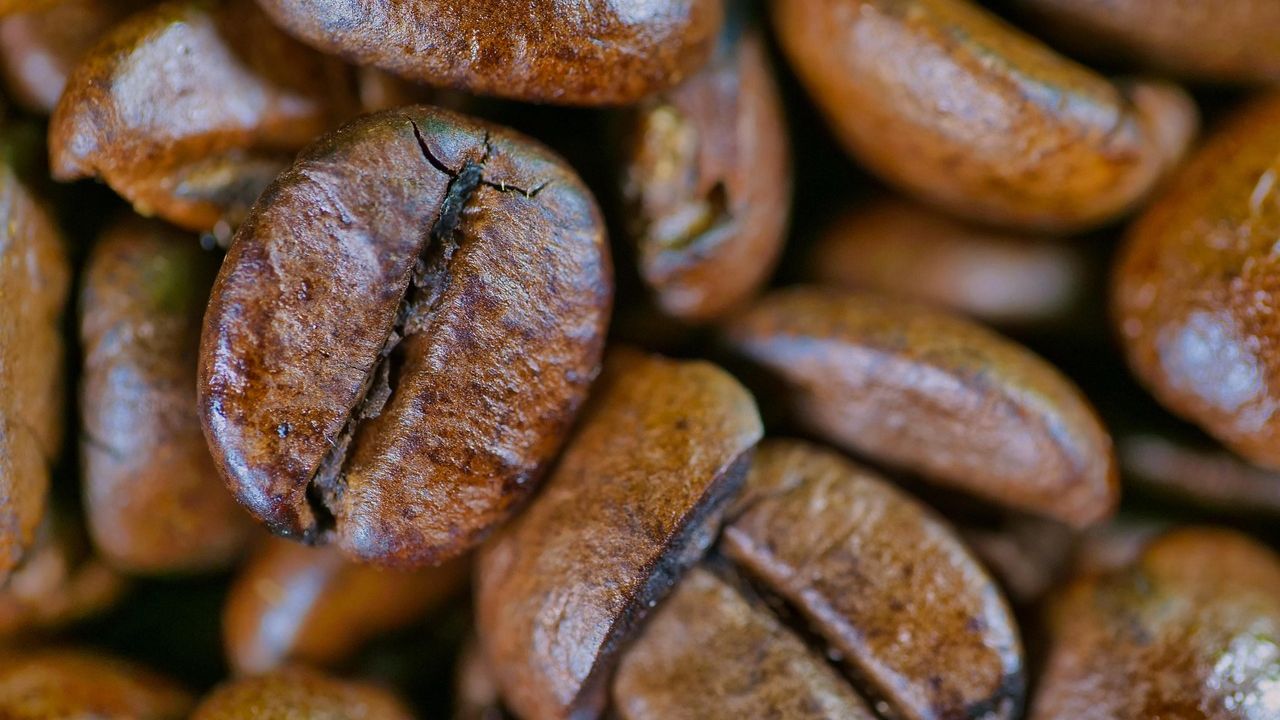 If You're Still Storing Your Coffee Like This, You're Doing It Wrong, Say Professional Roasters
