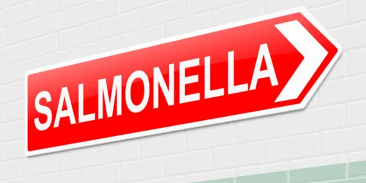 English germ reports updated; E. coli study findings