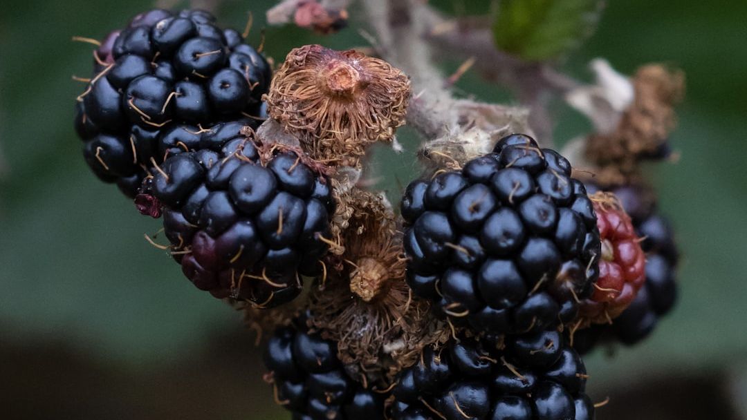 The "Dirty Dozen" of 2025: The Produce Items With the Highest Pesticide Loads