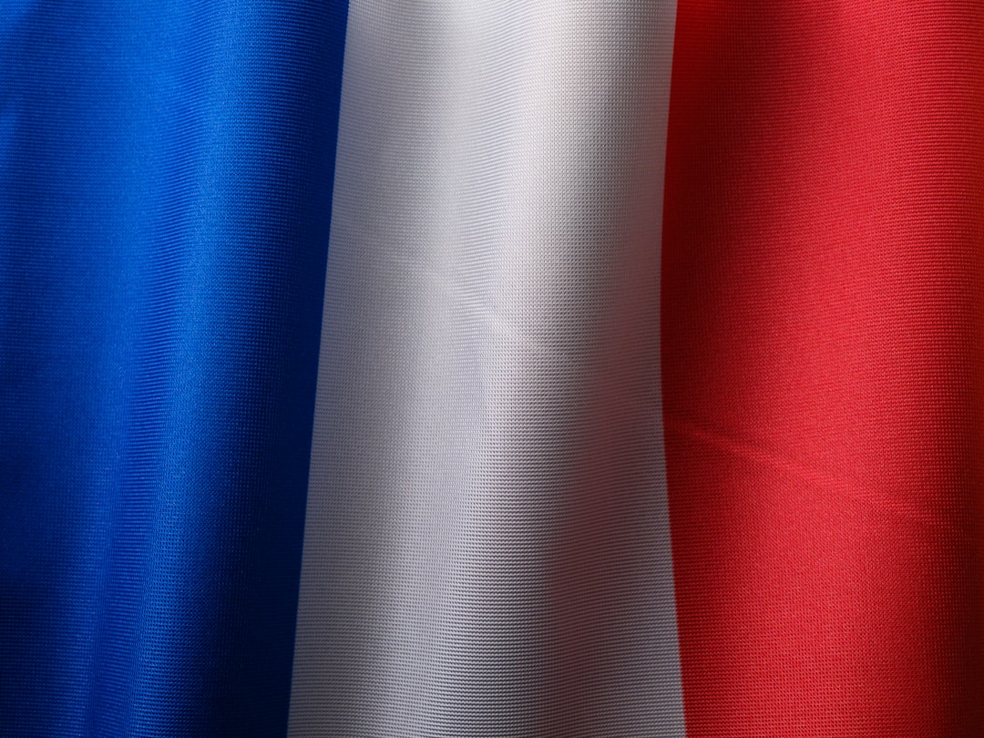 French competition watchdog to review retail alliances Aura, Concordis