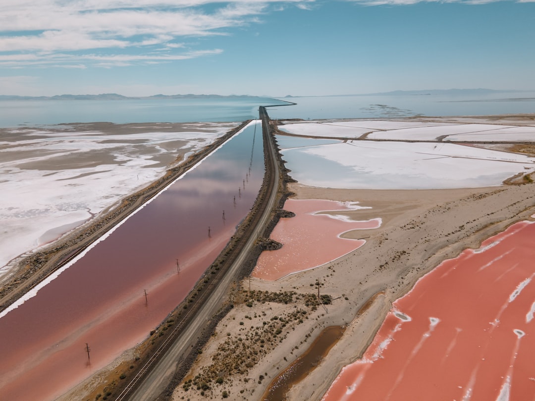 A never-before-seen creature has been found in the Great Salt Lake