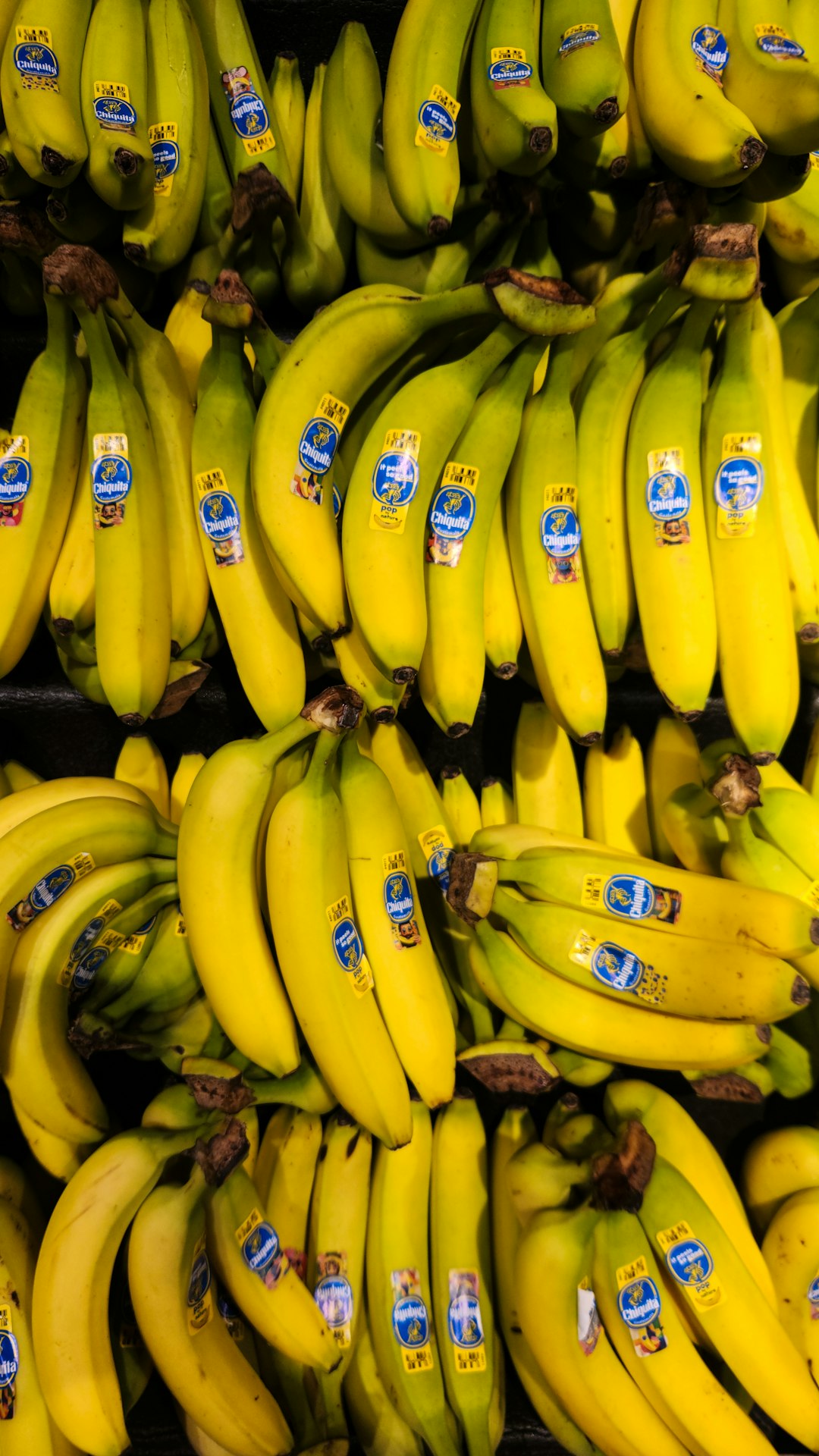 GLP-1 Use Reshapes Food Spending