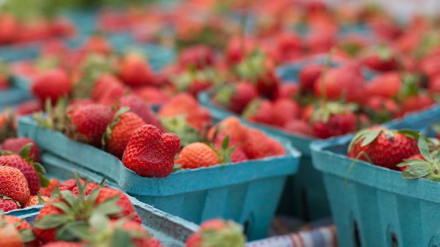 Why You'd Go Broke Following Viral Food Trends Without Reading Labels