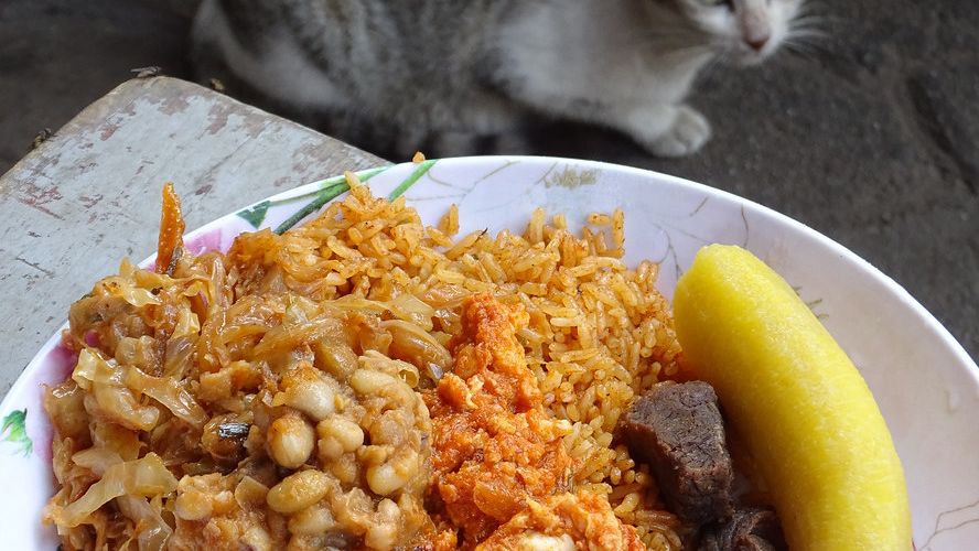 5 Facts You Didn't Know About Portion Sizes That Are Skewing Your Diet