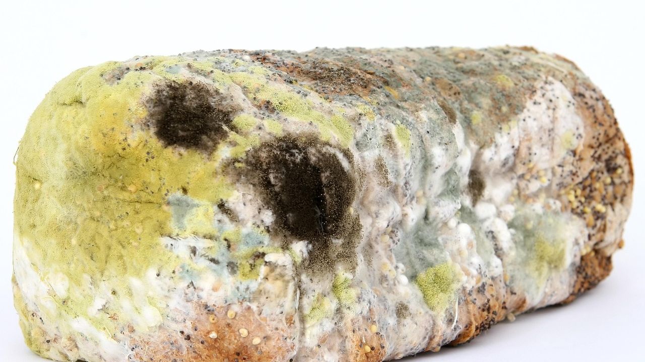 The Small Ingredient Detail That's Getting Popular Foods Pulled From Shelves