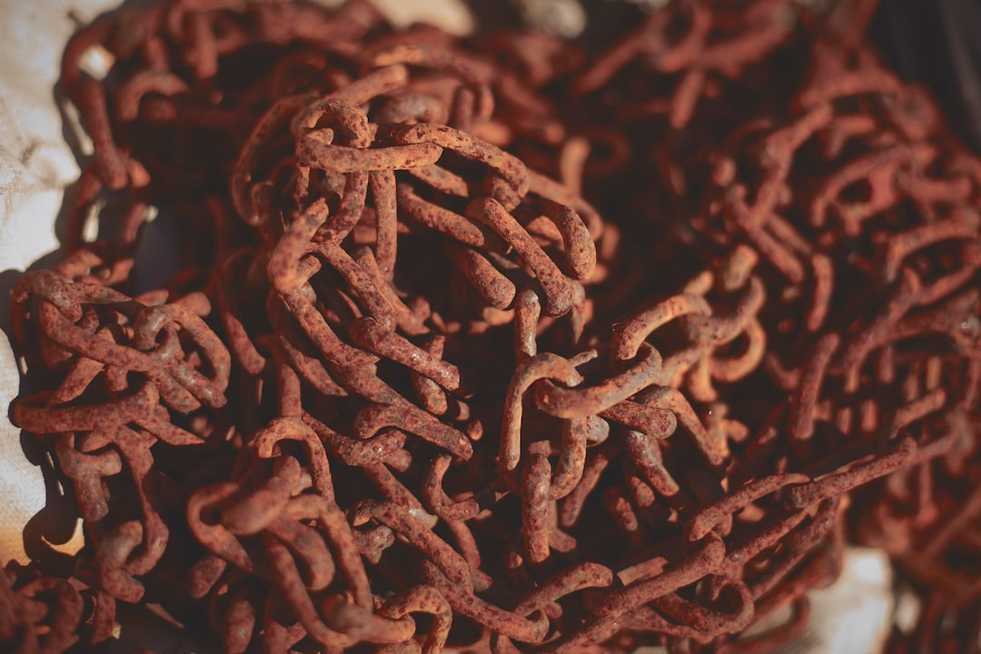 French sampling finds low E. coli risk in ground meat