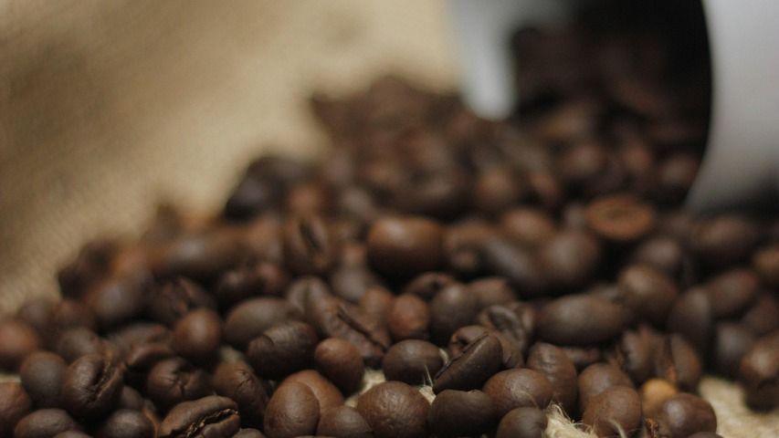 Inside the Coffee Shortage: 6 Regions Quietly Running Out of Beans