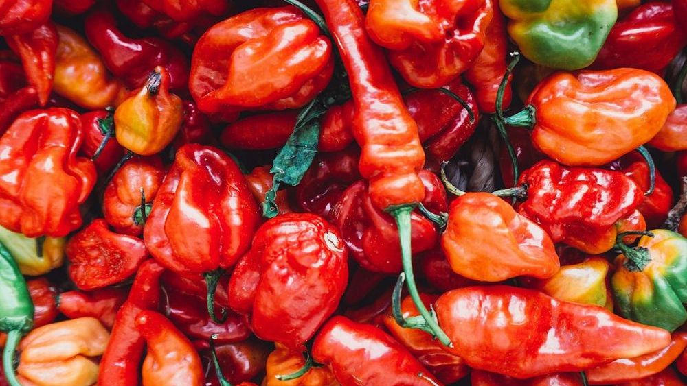 How Safe Is Spicy Food? A Pepper-by-Pepper Breakdown From Mild to Dangerous