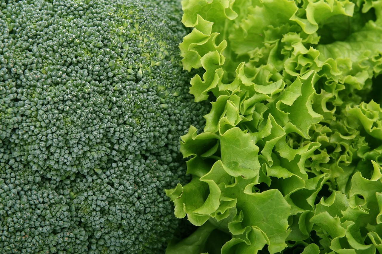 Harvester was root cause of Listeria outbreak traced to Dole salads