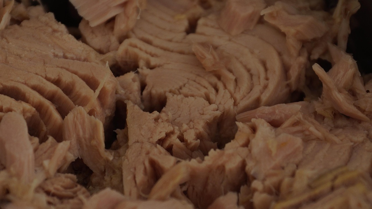 Recalled tuna sent to stores