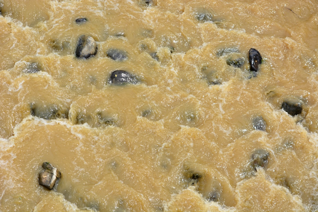 Researchers share lessons from two Listeria outbreaks