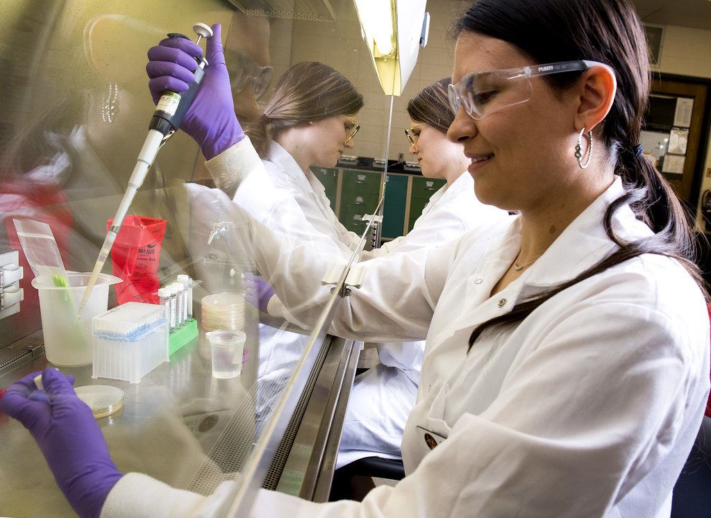 Funding cuts have negative impact on food safety services