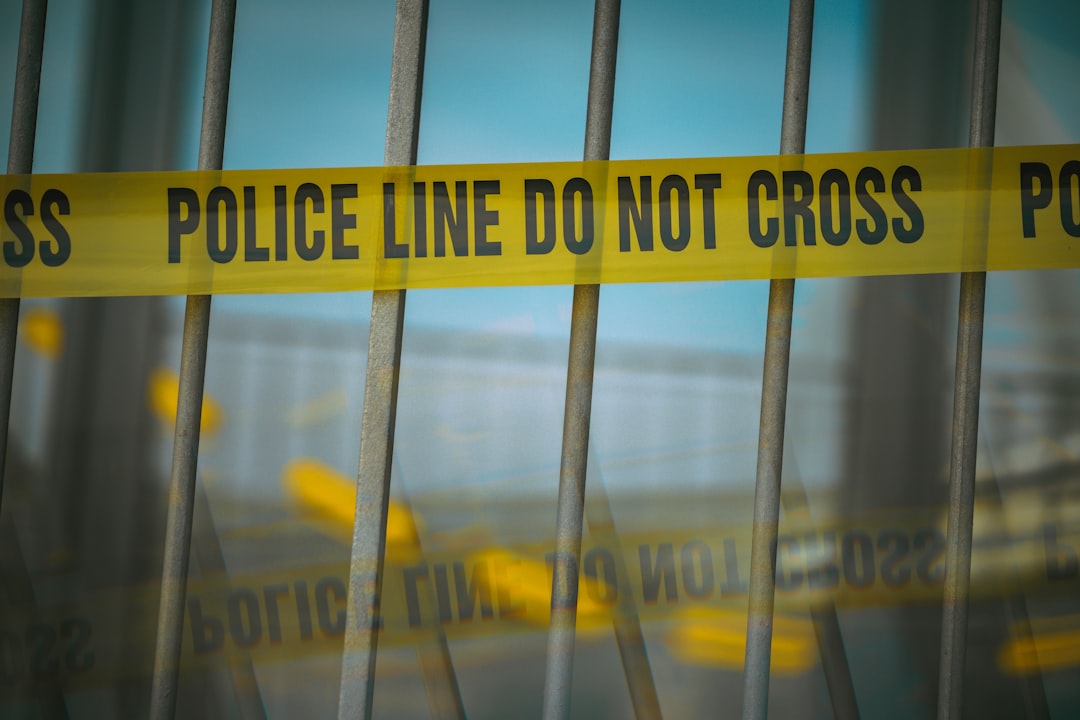 Renee Good was shot in the head, autopsy commissioned by her family finds