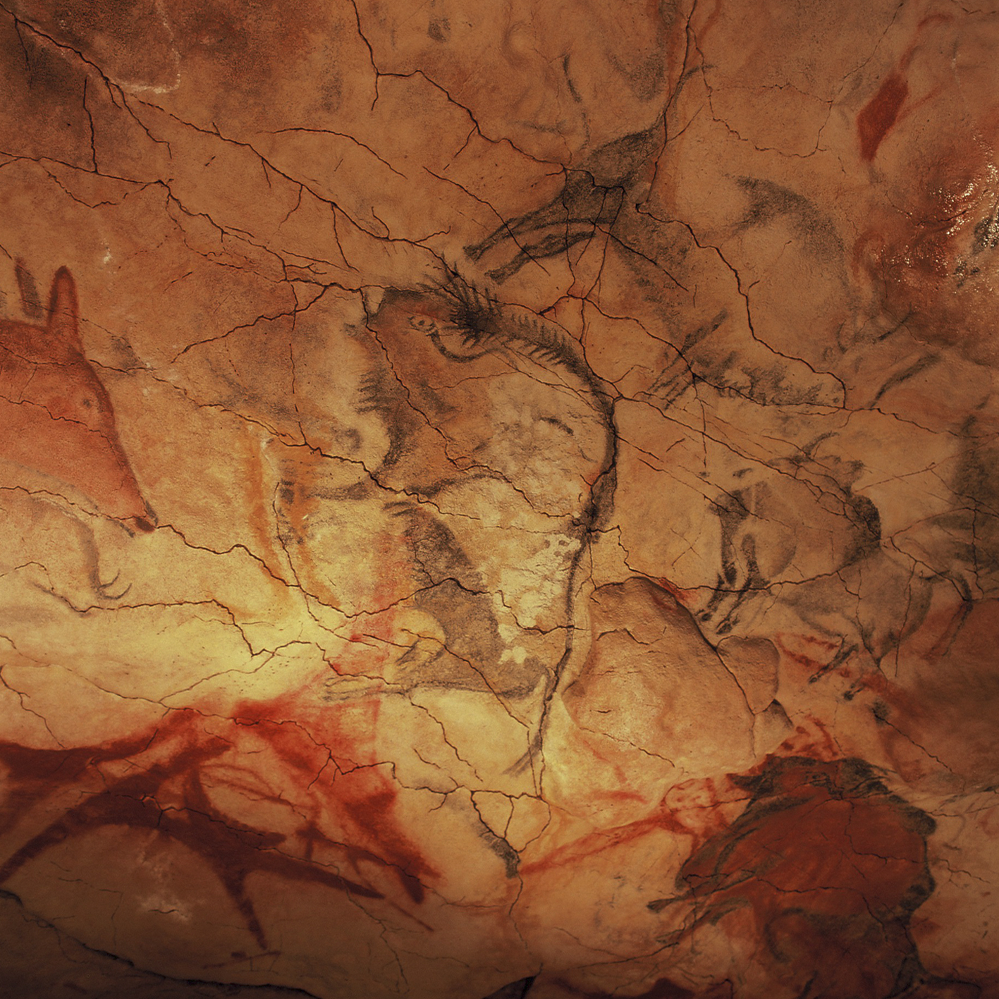 Oldest cave art and handprints discovered in Indonesia
