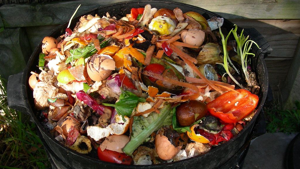 I Tried the "No-Waste" Cooking Rule - and Ended Up Without Ingredients