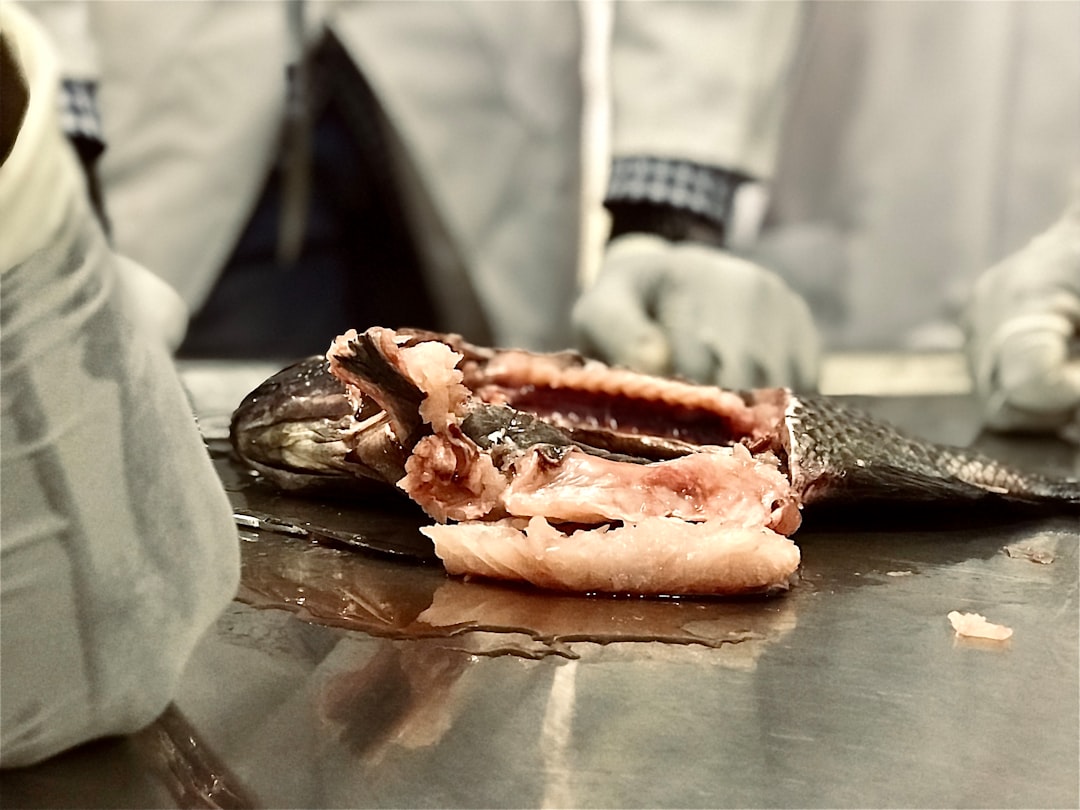 FDA continues investigation into Salmonella outbreak; declares four others ended