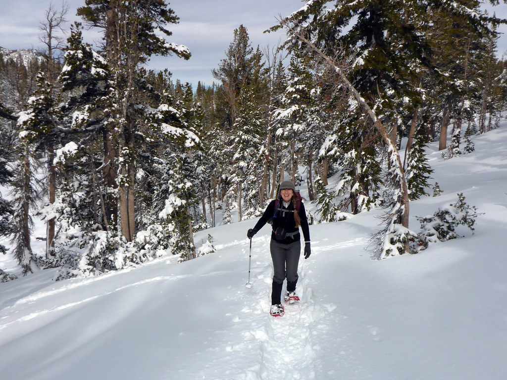 WATCH: Texas woman skis down icy street