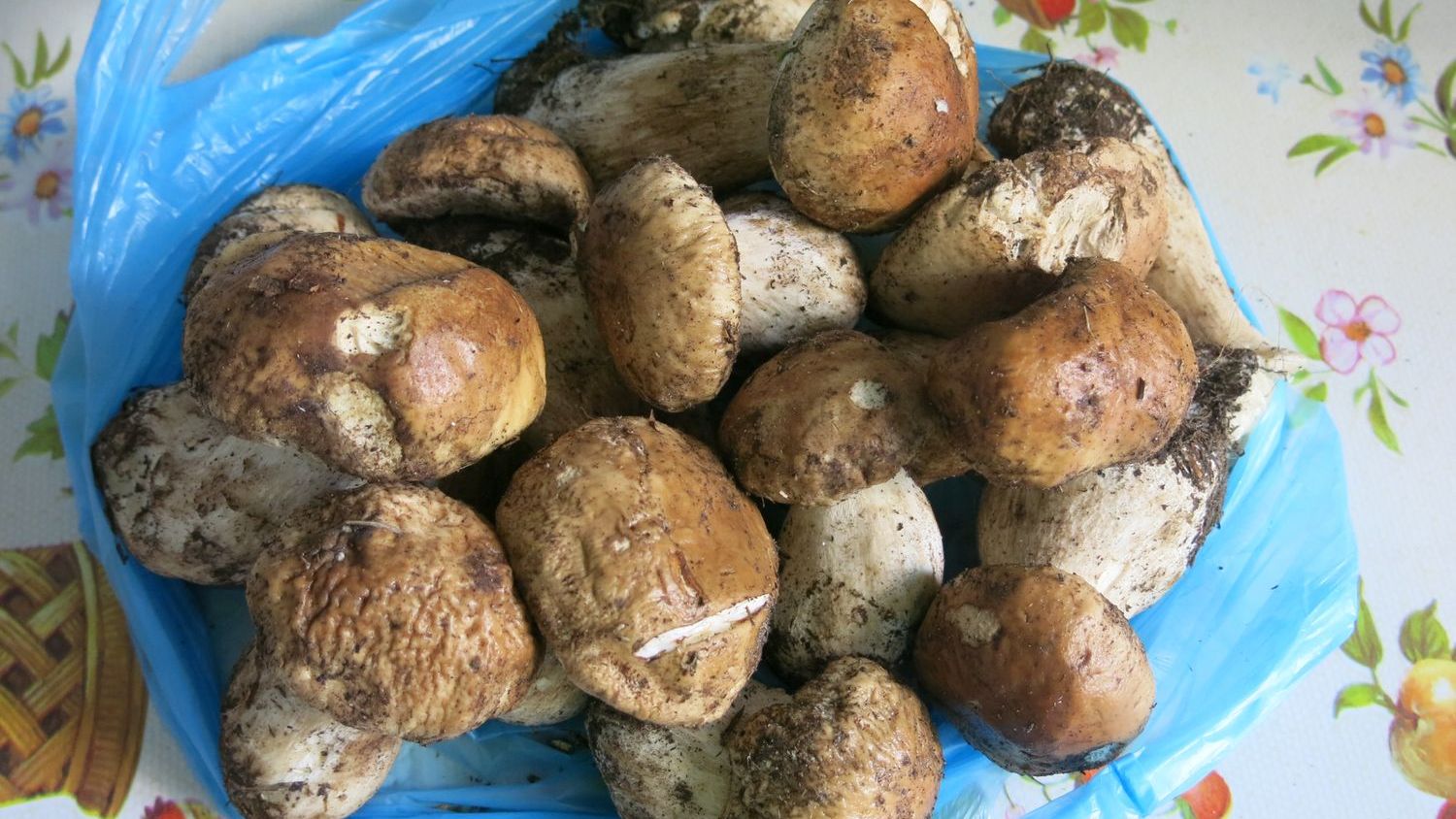 5 Everyday Foods That Can Turn Dangerous When Reheated Incorrectly