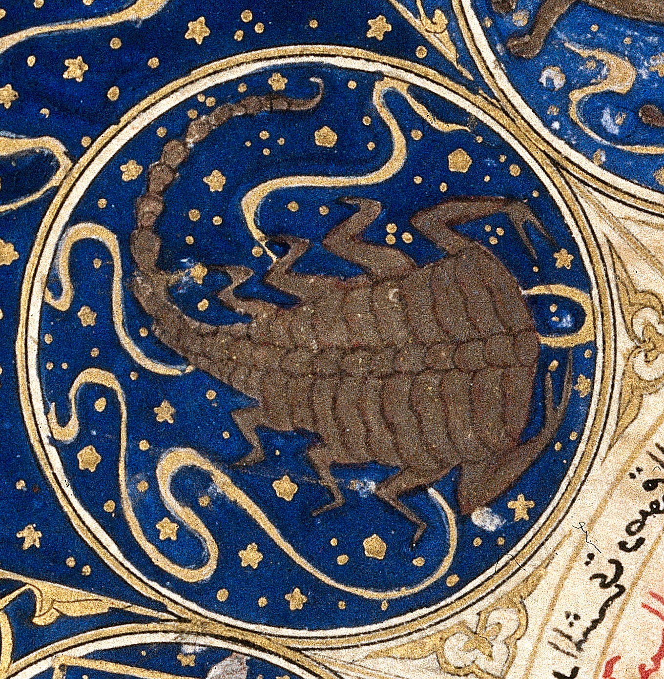 Scorpio Horoscope 26 Jan 2026