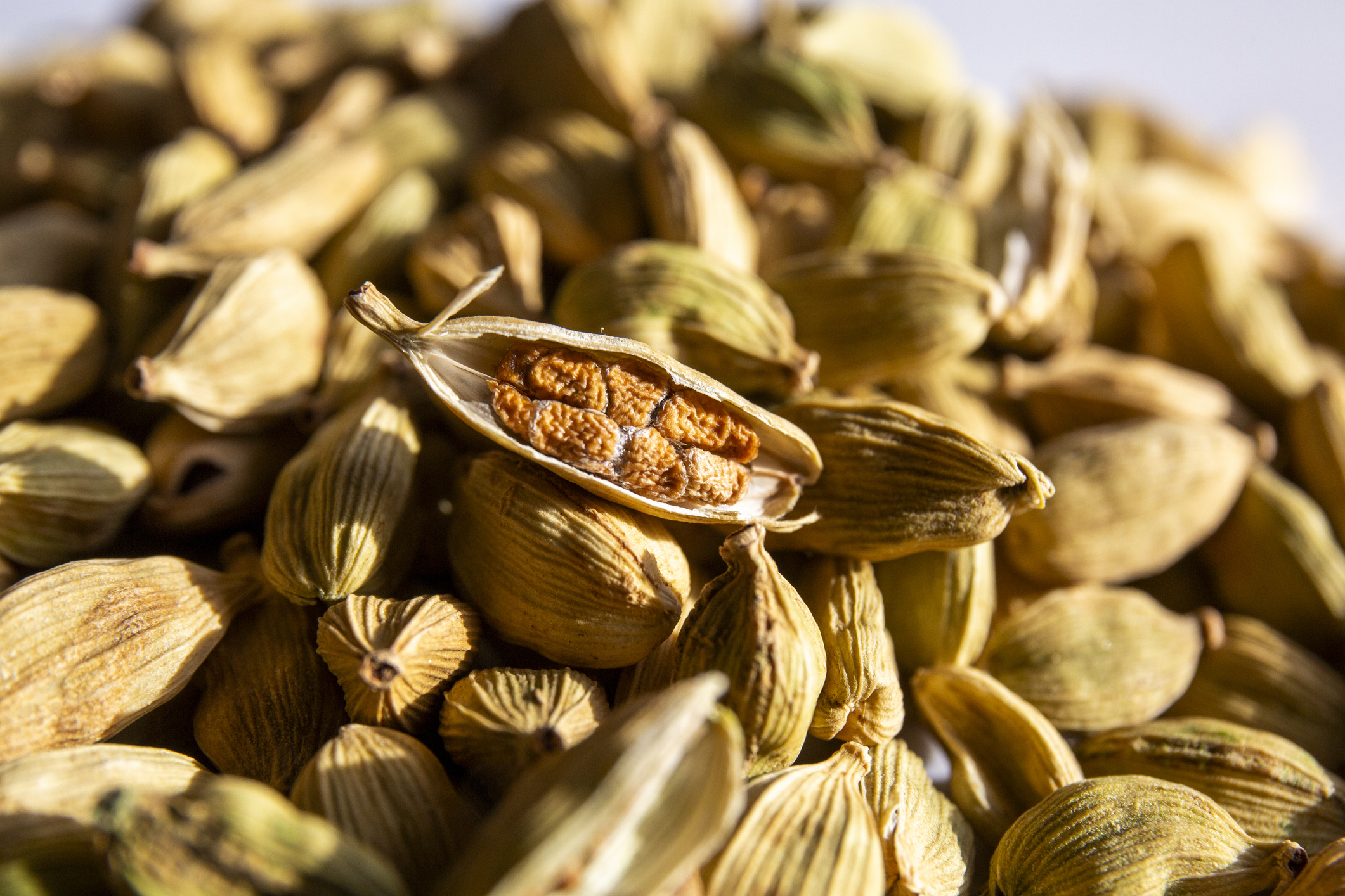 Cardamom, the spice you’re missing