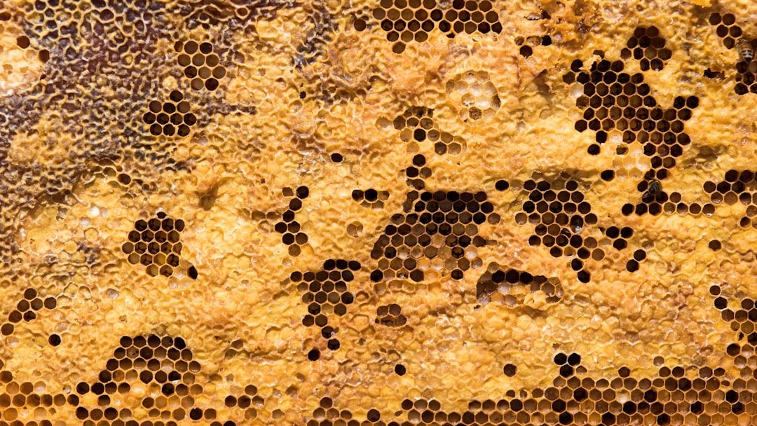 Is Your Honey Real? 3 Simple Ways to Spot Fake Store-Bought Brands