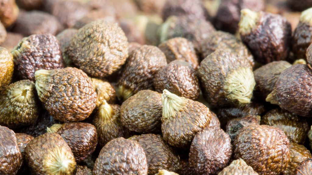 9 Underrated Herbs and Spices That Will Transform Your Pantry